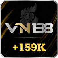 VN138 2 1
